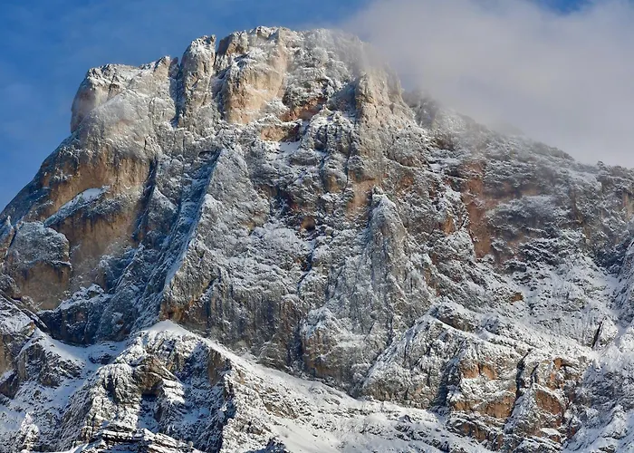 Appartamento Con Terrazza Vista Pale Di San Martino